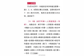 湖北咸宁和荆州两市中心城区公共交通今起恢复运行图片