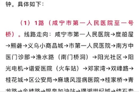 湖北咸宁和荆州两市中心城区公共交通今起恢复运行图片