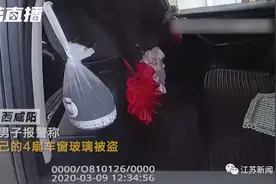“四扇车玻璃全被盗了！”男子报警，民警一个动作让全场沉默…图片