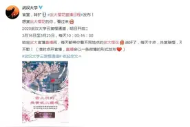 武大樱花直播日程是几月几号的？武大樱花直播手机观看地址入口图片
