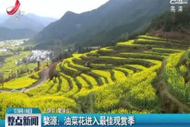婺源：油菜花进入最佳观赏季视频封面