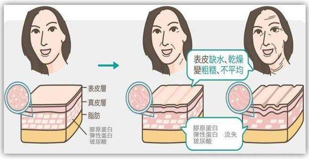 鱼胶有修复子宫的作用吗 2026年鱼胶有修复子宫的作用吗能吃吗