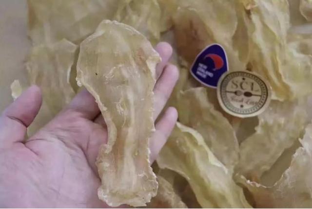 胶花可以修复卵巢吗 2026年胶花可以摆设家里吗
