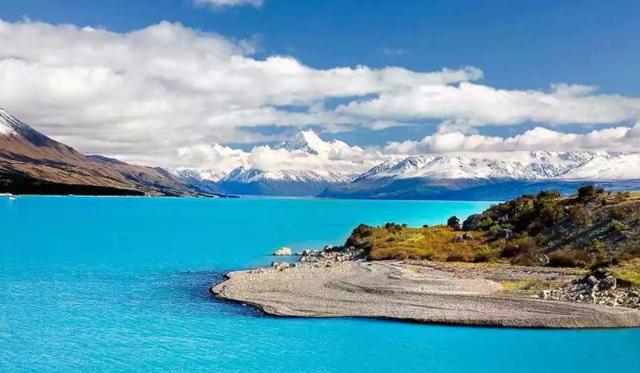 孕妇有小叶增生可以食花胶炖汤吗 2026年小叶增生能吃花粉吗