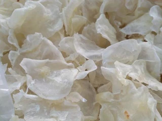 剖腹产吃花胶 增生 2026年剖腹产吃花胶 增生有用吗