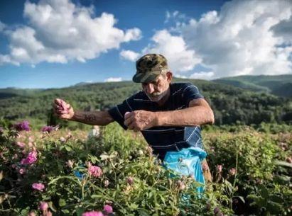 孕妇有小叶增生可以食花胶炖汤吗 2026年小叶增生能吃花粉吗