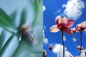 服务中老年人的“美好”教育，快乐老人大学网校手机摄影课火了图片