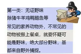 滨州这一县区全面禁止！野兔、麻雀等再吃违法图片
