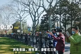 踏青赏花！上海鲁迅公园恢复开放视频封面