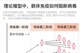 图解｜实现“群体免疫”？英国民众和医疗资源准备好了吗？图片