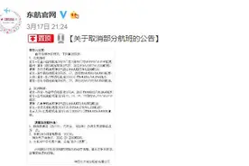东航取消部分航班 涉及美国、加拿大、英国等在内的多个国家图片