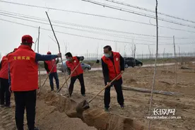 清河县连庄镇聚力“三个结合”推动植树造林图片