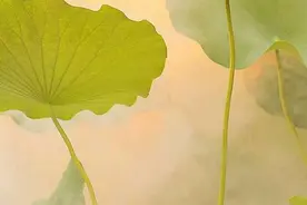“出淤泥而不染，濯清涟而不妖”的作者竟是个“包青天”图片