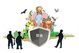 “全面禁食”标本兼治 中国力斩“野味产业”黑色链条图片