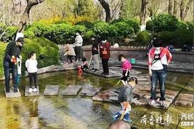 济南近日回温，萌娃五龙潭里摸鱼捞虾嬉戏玩耍图片