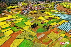 永定区“最美春景”：尹家溪镇等你前来踏青赏春图片