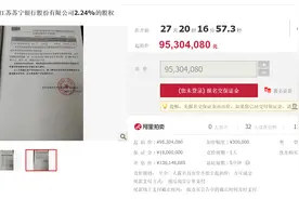 涉与TCL还款纠纷 康得新部分苏宁银行持股将七折拍卖图片