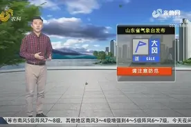 再迎大风预警！山东晴到少云，半岛内陆最低温2℃，鲁西北等地9℃视频封面