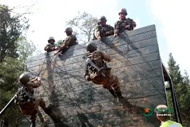 连贯障碍考核，特战队员体能技能比拼来了图片