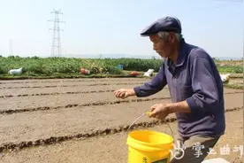 沾益区盘江镇：春分得意农事忙图片