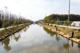 启东惠萍：清除污染“牛皮癣”，水美乡村展新颜图片