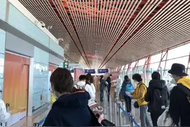 法国留学生口述回国经历：宛如逃难 辗转多地回国 下飞机看到祖国检疫人员特别安心图片