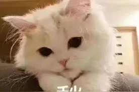 @百色人，广西物业管理条例要修订，快来提建议图片