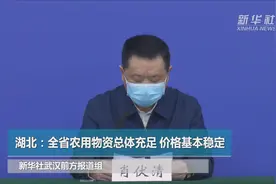 湖北：全省农用物资总体充足 价格基本稳定视频封面
