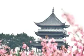 南宁春天最大的期待，一定是在花海里遨游！图片
