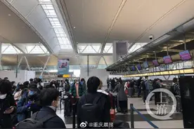 留美女大学生回国全记录：辗转近30小时，乘越洋航班不吃不喝不敢上厕所图片