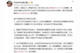 网红林小宅综艺首秀引争议 舞蹈侵权究竟谁说了算？图片