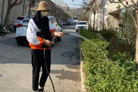 姚晨玩谐音梗喜迎复工 戴口罩为植物浇水心情大好图片