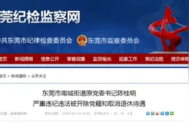 东莞南城街道原党委书记陈桂明被开除党籍和取消退休待遇图片