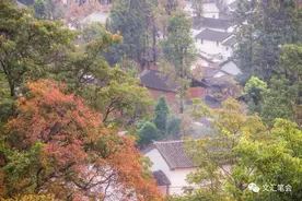 茈碧湖边梨园村｜陈应松图片