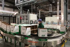 聚焦复工复产：华润怡宝仅剩武汉工厂尚未复工，员工到岗已超9成图片