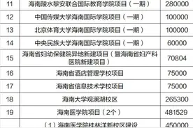今年海南重点项目投资计划清单来了！百亿级以上项目达10个图片