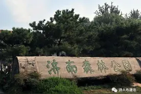 森林之梦的童话故事——游览济南森林公园图片