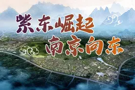 震撼！刚刚紫东2020年建设计划披露，总投资4244.39亿元图片