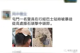 幻想中的“勇武”：野猫式的伏击图片