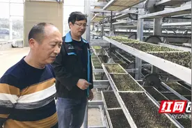 宁乡农民自创两款育秧神器省时又省力图片