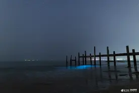 青岛崂山仰口海滨出现蓝眼泪现象 (/4)图片