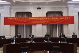 重庆与乌克兰举行专家视频会交流疫情防控经验图片
