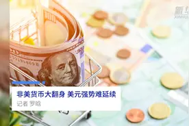 中国财富报道|非美货币大翻身 美元强势难延续视频封面