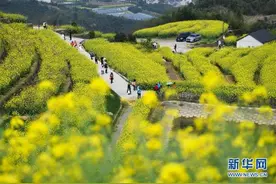 乡村旅游渐升温 山顶春色迎客来图片