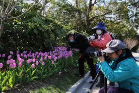 山花遍野 购票优惠 南通狼山国家森林公园迎客来图片