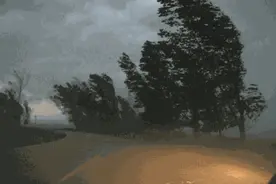 沧州一电动车仓库发生火灾│一处级干部落马│雷雨马上就到！中到大雨+冰雹+8级风图片