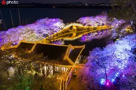 江苏无锡太湖鼋头渚景区夜樱美如画图片