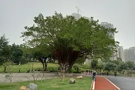 开场即巅峰，抛竿打中破纪录大花鲢，解锁新鱼种图片