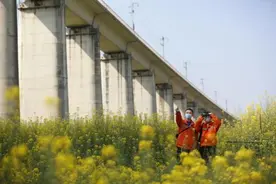 迎接春天！穿过花海去守护你图片
