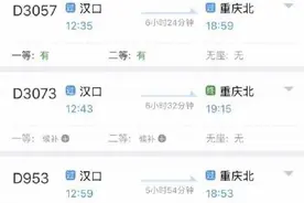 湖北多地火车票恢复开售，武汉4月8日车次部分起售图片